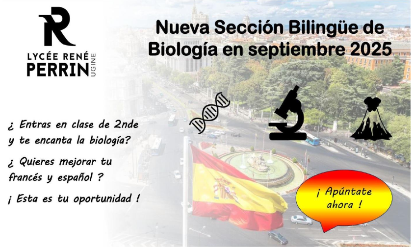 Candidature section DNS espagnol 2025-2026